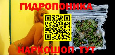 эйфоретик Берёзовский
