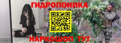 эйфоретик Берёзовский
