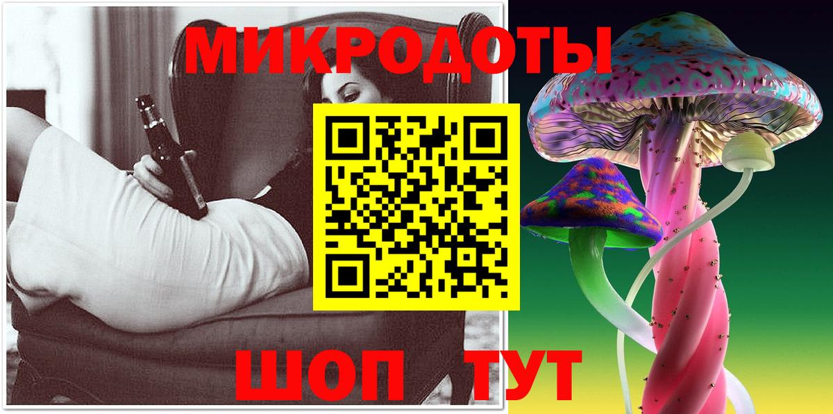 Галлюциногенные грибы Psilocybe Кашира